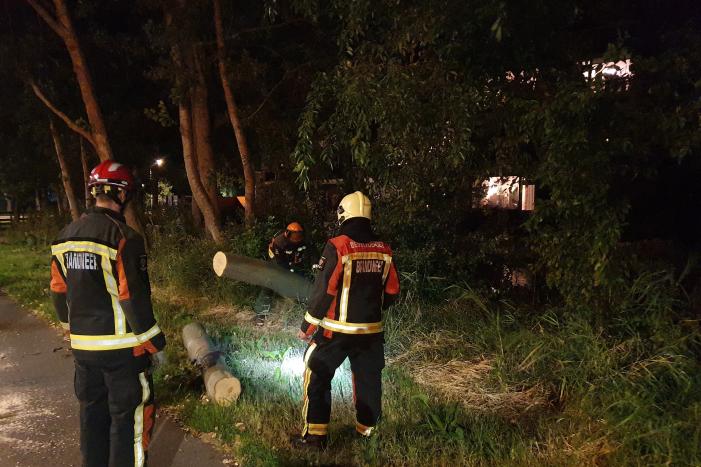 Boom valt over fietspad