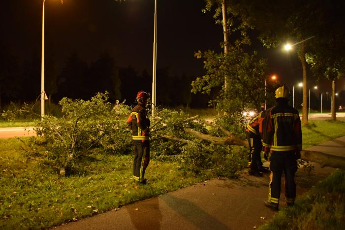 Boom valt over fietspad