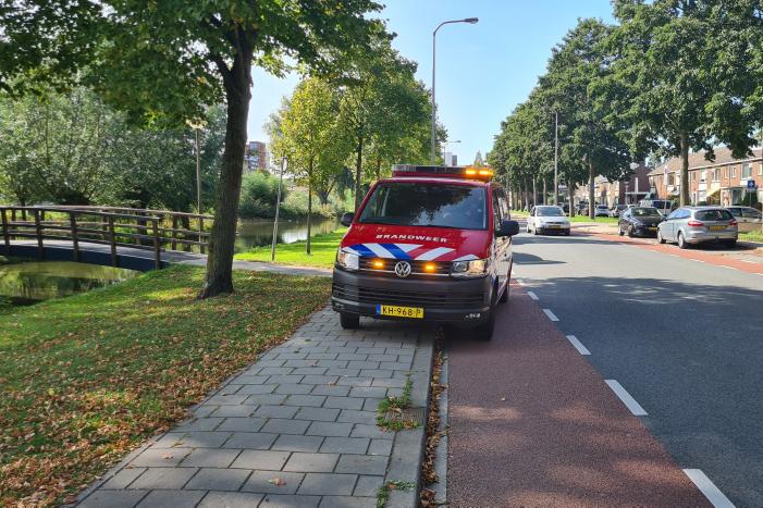 Omstanders redden oudere man uit water