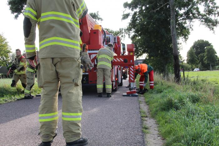Vuurwerk zorgt voor brand in boom