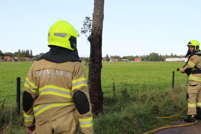 Vuurwerk zorgt voor brand in boom