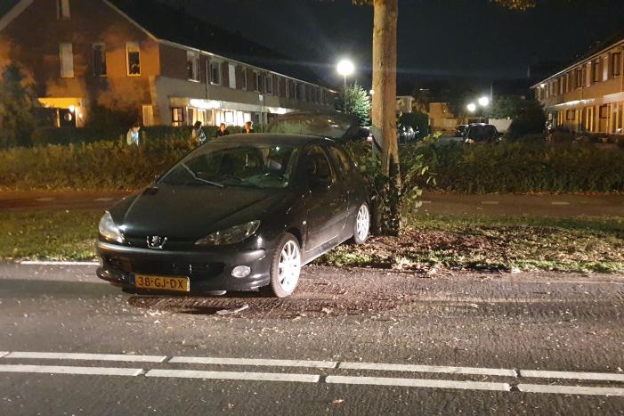 Auto raakt van de weg en raakt boom