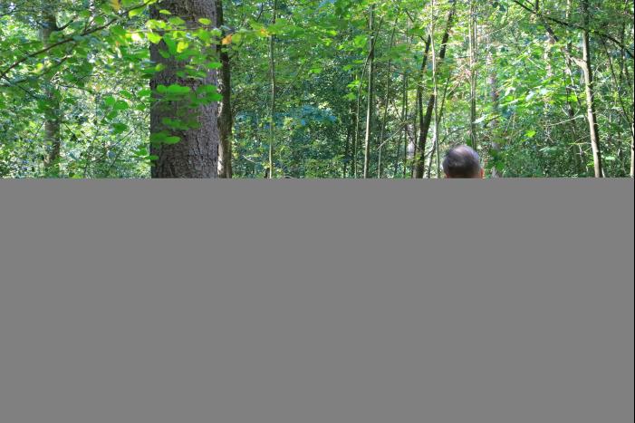 Brandweer blust brand met pionnen