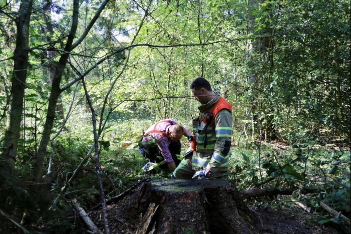 Brandweer blust brand met pionnen