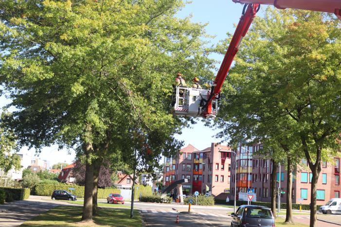 Gevaarlijk hangende takken verwijderd