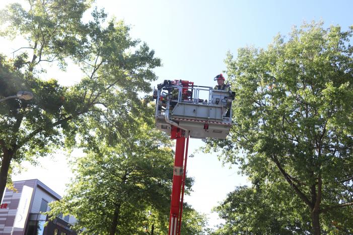 Gevaarlijk hangende takken verwijderd