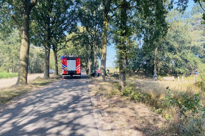 Grote bos heidebrand in natuurgebied
