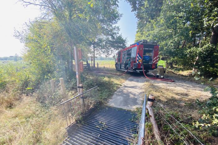 Grote bos heidebrand in natuurgebied