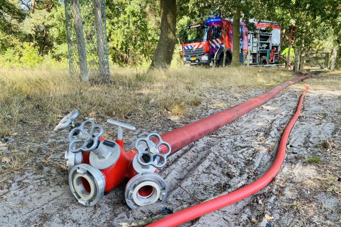 Grote bos heidebrand in natuurgebied