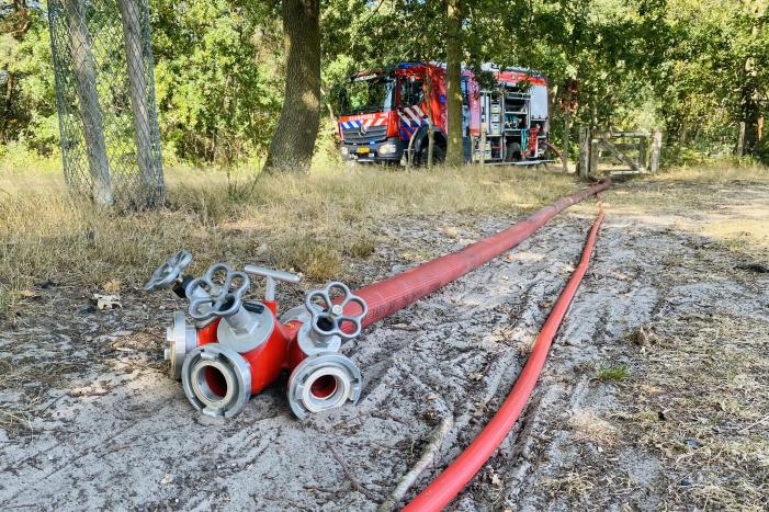 Grote bos heidebrand in natuurgebied
