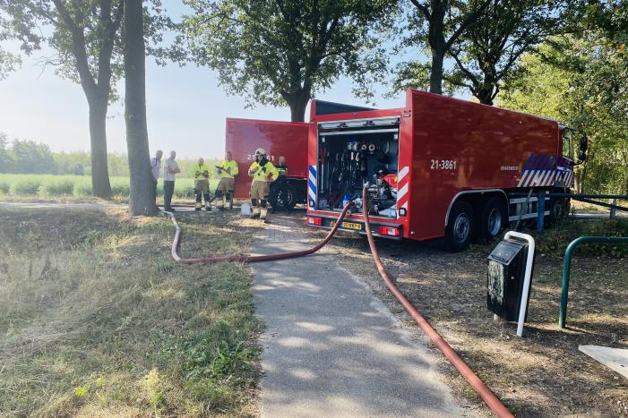 Grote bos heidebrand in natuurgebied