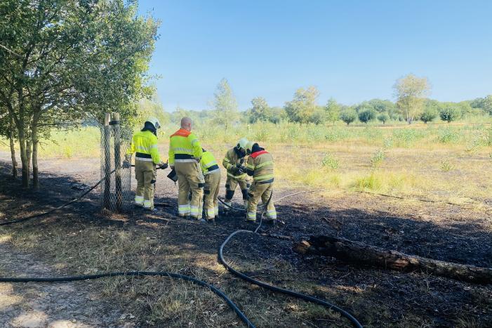Grote bos heidebrand in natuurgebied