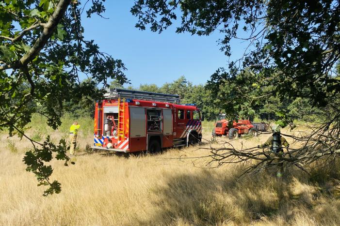 Grote bos heidebrand in natuurgebied
