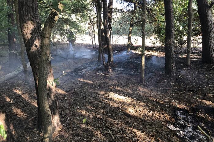 Opnieuw brand in bosgebied