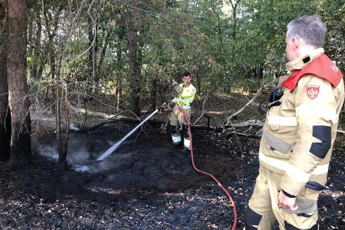 Opnieuw brand in bosgebied