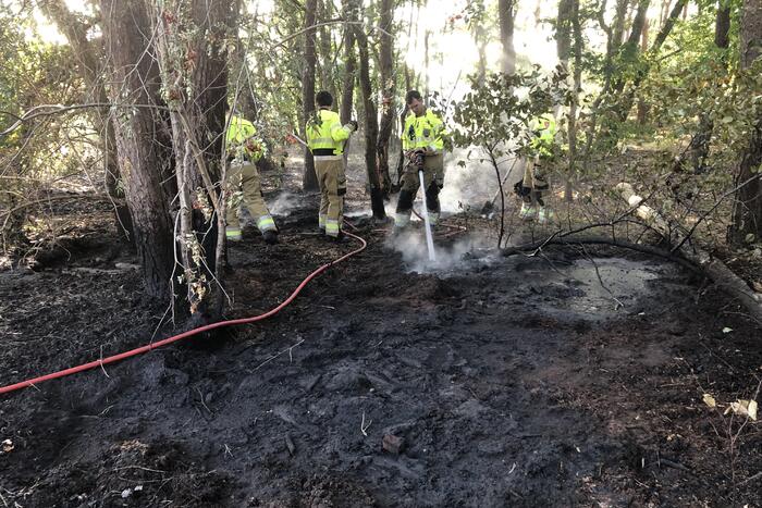 Galvaniweg Nieuws Schijndel 