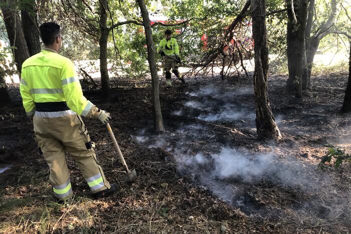 Opnieuw brand in bosgebied