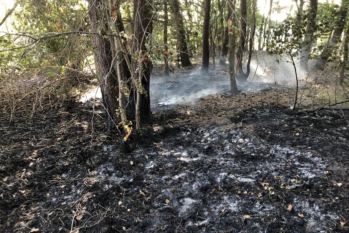 Opnieuw brand in bosgebied