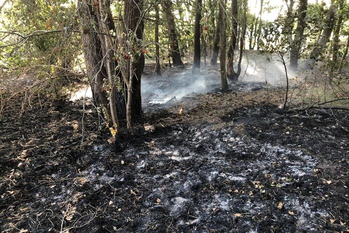 Opnieuw brand in bosgebied