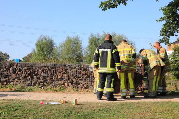 Kinderen vinden egel in nood bij actie WorldCleanupDay