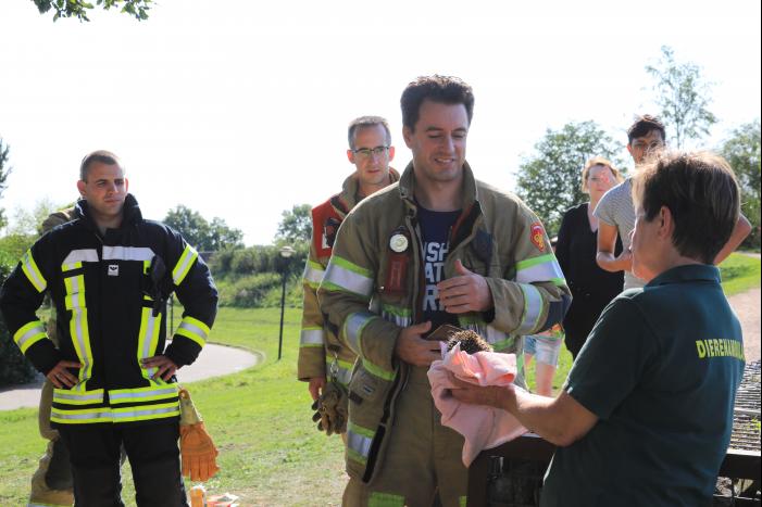 Kinderen vinden egel in nood bij actie WorldCleanupDay