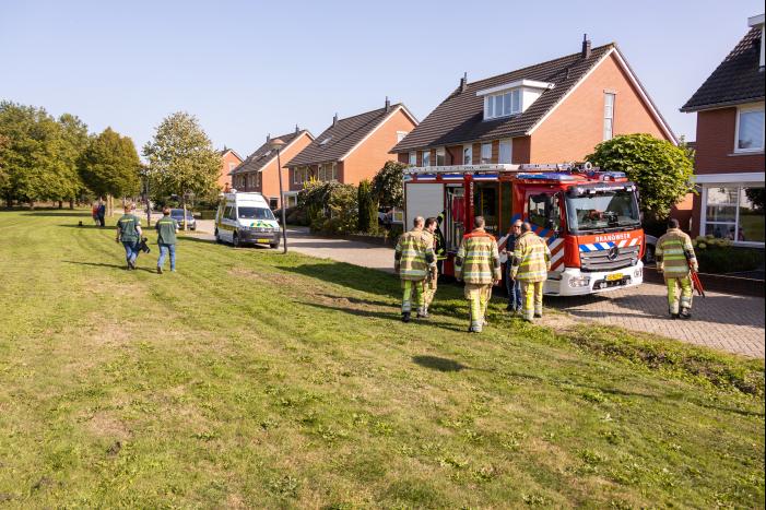 Kinderen vinden egel in nood bij actie WorldCleanupDay