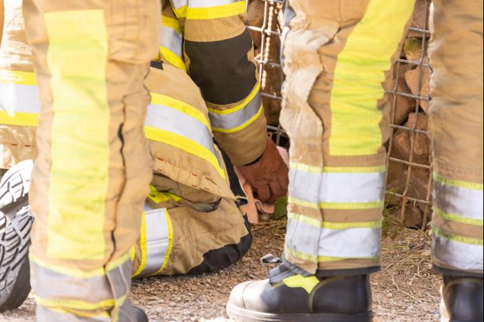 Kinderen vinden egel in nood bij actie WorldCleanupDay
