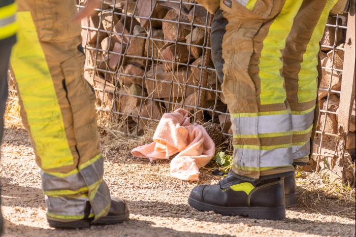 Kinderen vinden egel in nood bij actie WorldCleanupDay