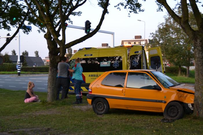 Twee personen gewond na botsing tegen boom