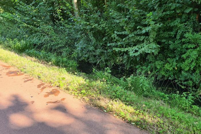 Omstanders redden man onder invloed uit water