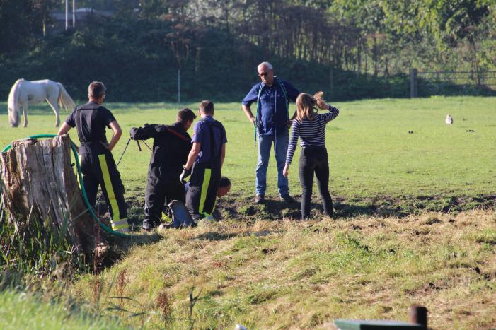 Paard belandt in sloot en zit vast