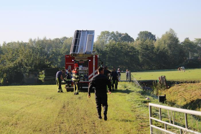 Paard belandt in sloot en zit vast