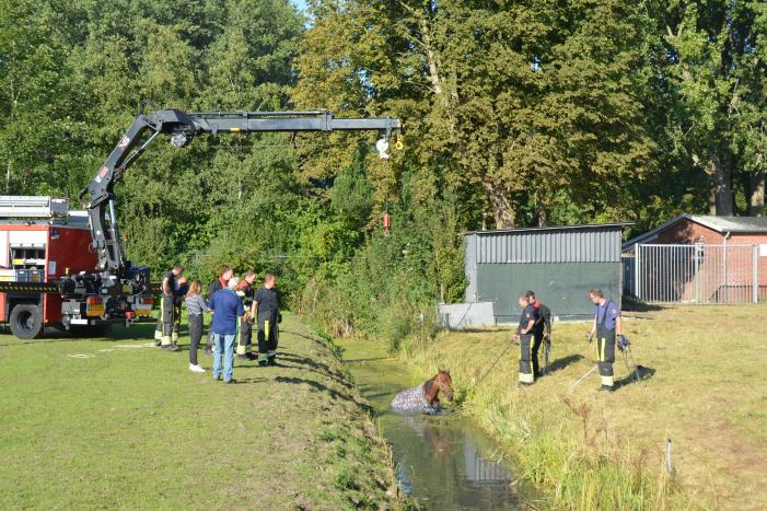 Paard belandt in sloot en zit vast