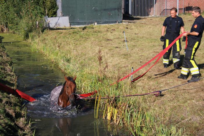 Paard belandt in sloot en zit vast