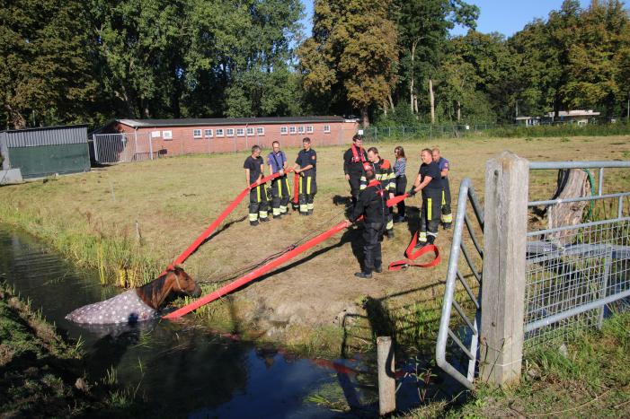 Paard belandt in sloot en zit vast