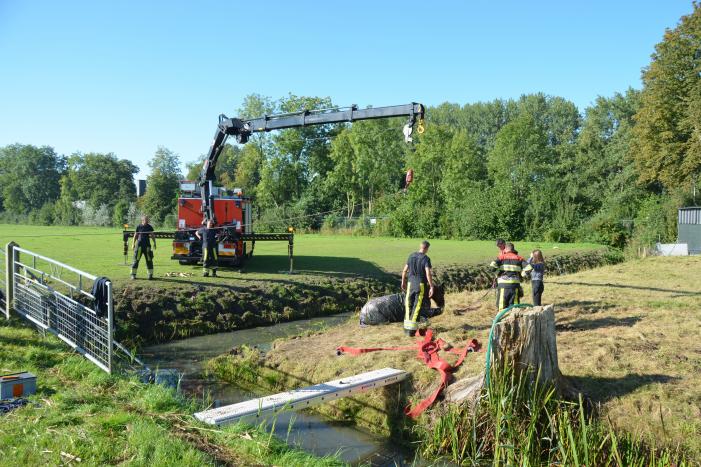 Paard belandt in sloot en zit vast