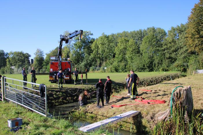 Paard belandt in sloot en zit vast