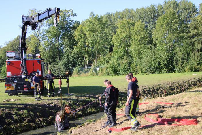 Paard belandt in sloot en zit vast