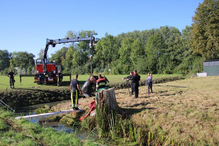 Paard belandt in sloot en zit vast