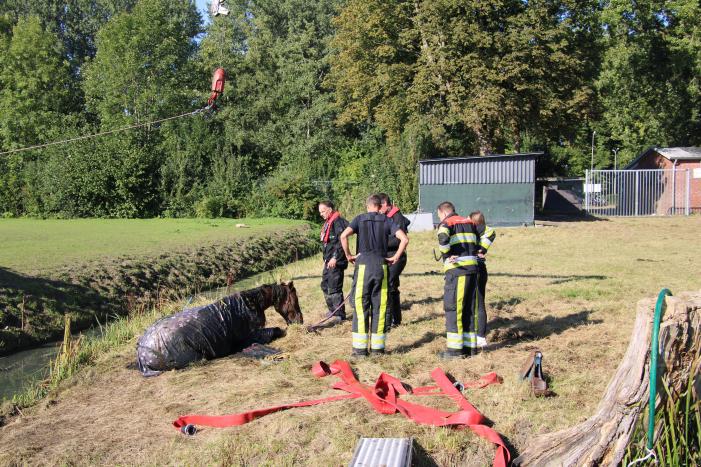 Paard belandt in sloot en zit vast