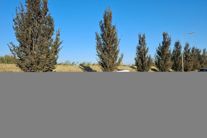 Kop-staart aanrijding met meerdere voertuigen