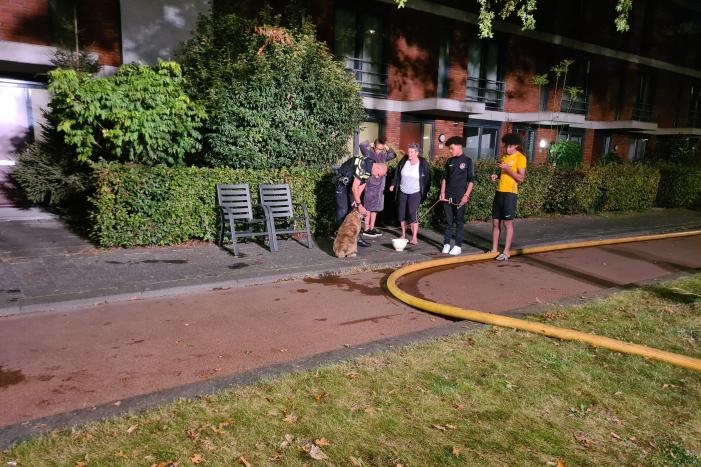 Personen en hond met klachten bij brand