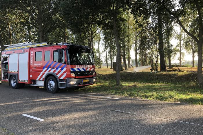 Bladeren en takken in brand