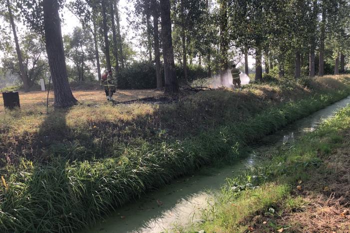 Bladeren en takken in brand