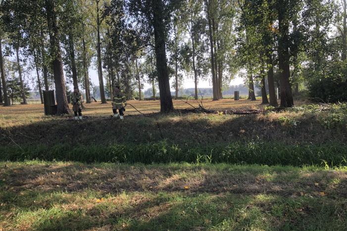 Bladeren en takken in brand