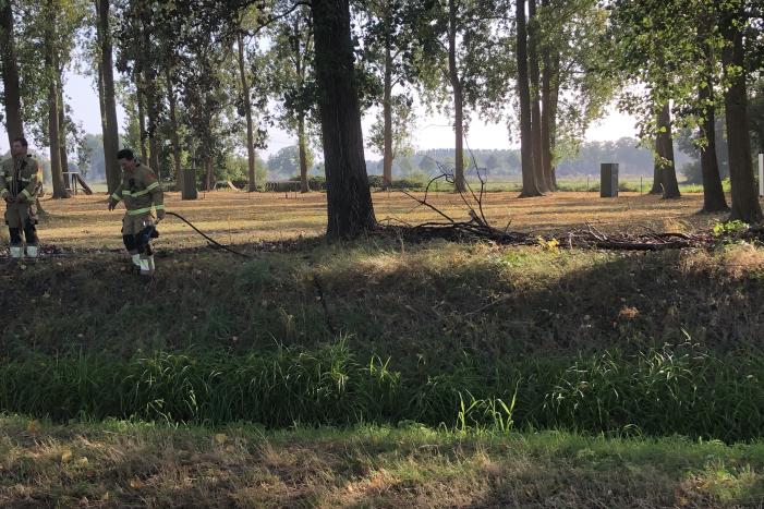 Bladeren en takken in brand