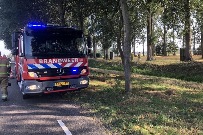 Bladeren en takken in brand
