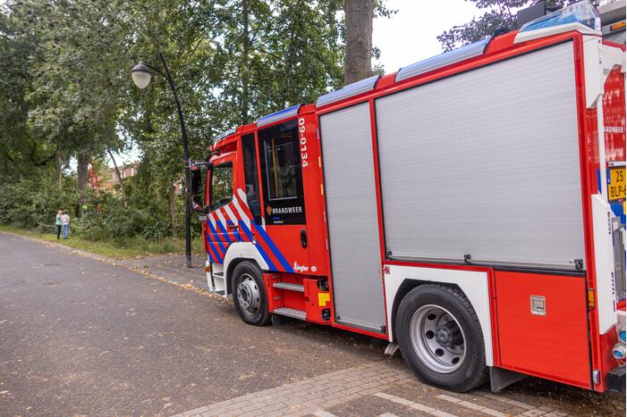 Gevaarlijk hangende tak snel verwijderd