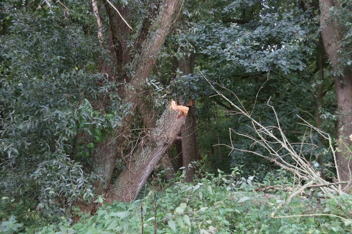 Boom breekt af en belandt op fietspad