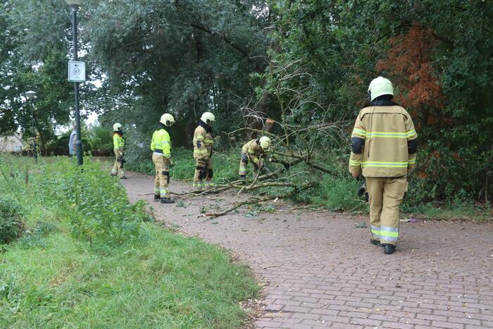 Boom breekt af en belandt op fietspad